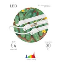 Светильник модульный для растений FITO-3х10W-LINE-Ra90 30Вт полного спектра ЭРА Б0049315 - УПС инжиниринг