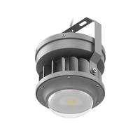 Светильник светодиодный ACORN LED 20 RN1 D150 5000К 36В AC подвесной с закален. стеклом G3/4 СТ 1490000140 - УПС инжиниринг