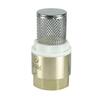 Клапан обратный с фильтром 1дюйм (80/10) К VALFEX VF.161.NS.100 - УПС инжиниринг