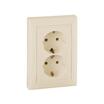Розетка 2-м СП Valena 16А IP20 2P+E с заземл. немецк. стандарт сл. кость (DIY-упак.) IEK 695616 - УПС инжиниринг