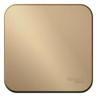 Выключатель 1-кл. ОП Blanca 10А IP20 (сх. 1) 250В с изолир. пластиной титан SE BLNVA101014 - УПС инжиниринг