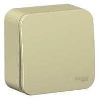 Выключатель 1-кл. ОП Blanca 10А IP20 (сх. 1) 250В с изолир. пластиной беж. SE BLNVA101017 - УПС инжиниринг