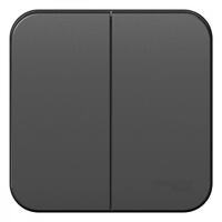 Выключатель 2-кл. ОП Blanca 10А IP20 (сх. 5) 250В с изолир. пластиной антрацит SE BLNVA105016 - УПС инжиниринг