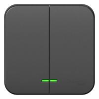 Выключатель 2-кл. ОП Blanca 10А IP20 (сх. 5) 250В с подсветкой с изолир. пластиной антрацит SE BLNVA105116 - УПС инжиниринг