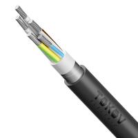 Кабель TOKOV ELECTRIC АВБШвнг(А) 5х50 МК (N PE) 0.66кВ (м) 00-00072449 - УПС инжиниринг