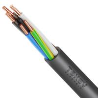 Кабель TOKOV ELECTRIC ППГнг(А)-HF 5х10 ОК (N PE) 1кВ (м) ТХМ00416253 - УПС инжиниринг