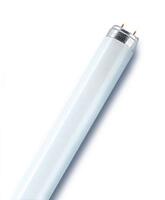 Лампа люминесцентная L 58W/840 LUMILUX 58Вт T8 4000К G13 смол. OSRAM 4058075692916 - УПС инжиниринг