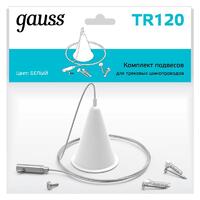 Комплект подвесов Track для трековых шинопроводов бел. GAUSS TR120 - УПС инжиниринг