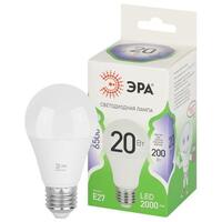Лампа светодиодная GREEN LINE A60-20W-865-E27 GL 20Вт груша 6500К свет холод. E27 Эра Б0067102 - УПС инжиниринг