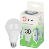 Лампа светодиодная GREEN LINE A65-30W-865-E27 GL 30Вт груша 6500К свет холод. E27 Эра Б0067145 - УПС инжиниринг