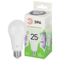 Лампа светодиодная GREEN LINE A60-25W-865-E27 GL 25Вт груша 6500К свет холод. E27 Эра Б0067111 - УПС инжиниринг