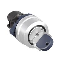 Головка переключателя с ключом на 2 положения с фиксацией стандартная ручка алюм. черн. DKC M22S-KL2A - УПС инжиниринг