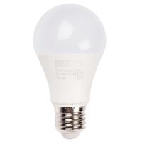 Лампа светодиодная низковольтная PLED-A60 MO 10Вт 6500К холод. бел. E27 12-48В AC/DC Pro JazzWay 5050532 - УПС инжиниринг